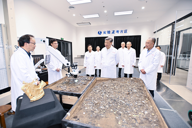 球盟会qmh网址