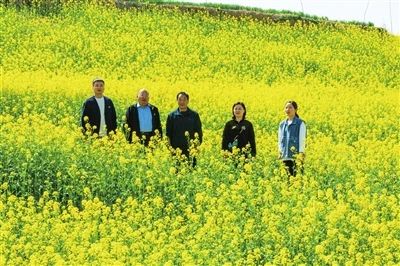 球盟会qmh网址